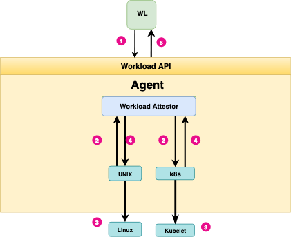 Workload Attestation